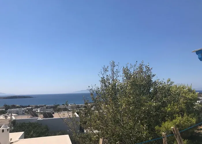 Panorama Ξενοδοχείο με διαμερίσματα Δρυός